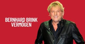Bernhard Brink Vermögen