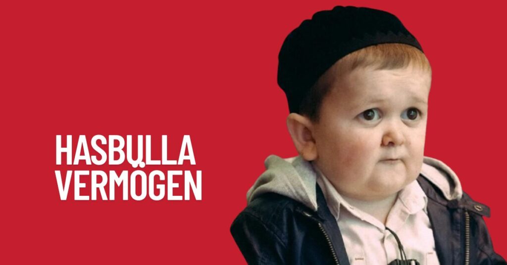 Hasbulla Vermögen