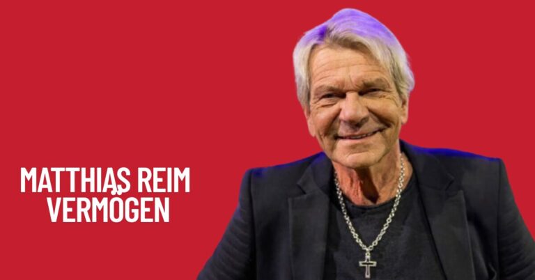 Matthias Reim Vermögen