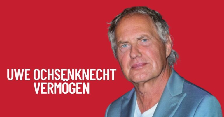 Uwe Ochsenknecht Vermögen